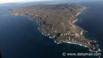 Ancient 'lost world' discovered off the US West coast rewrites story of first Americans who arrived 13,000 years ago