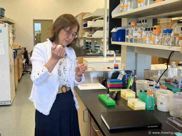 Kingston biotech firm continues developing climate-resilient canola, new federal backing