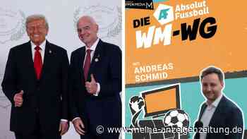 „Eigener Nationalmannschaft geschadet“ – WM-Experte spricht nach FIFA-Skandal Klartext