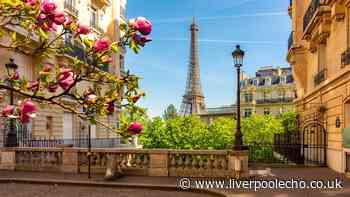 Woman warns Paris tourists to be vigilant about 1 thing in French capital