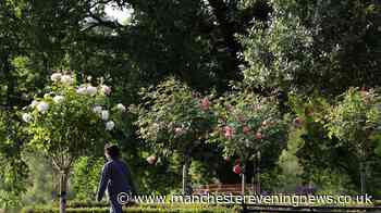 The gorgeous Greater Manchester park with a historic house, ponds and play area