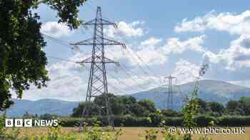 Farmers 'vindicated' after judge's ruling on pylon firm accessing land