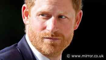 Prince Harry arrives in UK solo after Buckingham Palace withdraws offer for Duke's accommodation