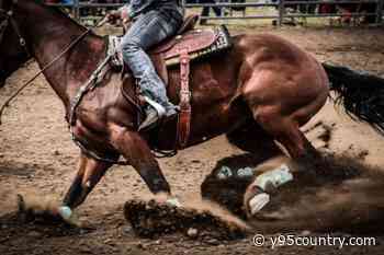 How Did Laramie Jubilee Days Get Started?