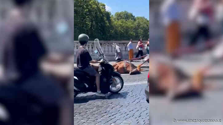 Cavallo stramazza a terra a Roma: “È scivolato”. Polemica sulle botticelle per i turisti: “Segno di inciviltà” – Video