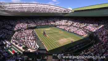 Wimbledon match halted as tennis star takes immediate action to help