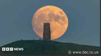In pictures: Tom Jones, 'singing pirates' and a Strawberry Moon