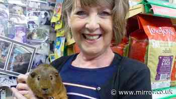 Motorist accused of murdering 'lovely' pet shop owner in deadly crash
