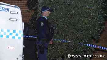 Horror details emerge of mum accused of killing and eating four-year-old son
