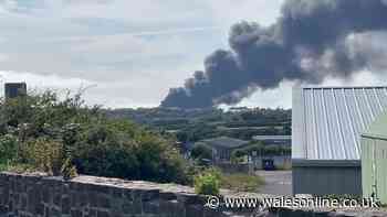 Black smoke fills the air as fire breaks out at former oil refinery
