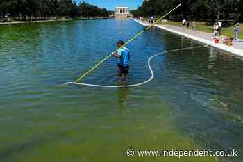 Trump goes on Truth Social blitz to show off pictures of his ‘beautiful’ Reflecting Pool renovations