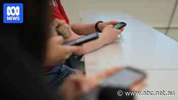 One in every class: AI-assisted sexual abuse widespread among teens