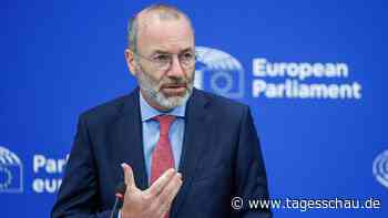 Die EVP und rechte Parteien: Schadet Manfred Webers Kurs der EU?
