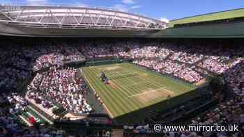 Wimbledon match stopped as tennis star steps in to help spectator