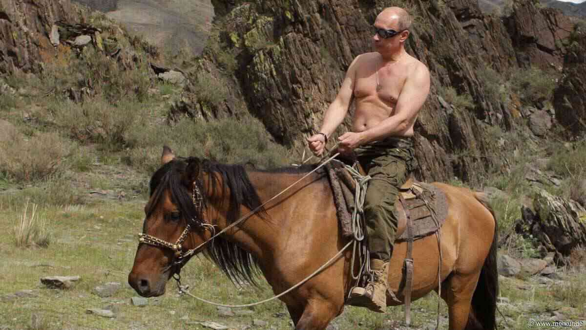 Weil Benzin und Öl ausgehen: Nachfrage nach Pferden boomt in Russland