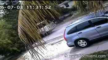 VIDEO: Lightning strikes tree, causing it to crash into moving car in North Miami