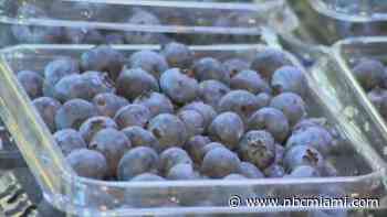 Publix issues frozen blueberry recall in Florida and 7 other states