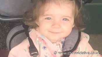North East tot's spinal fractures caused by 'forceful slam', specialist tells jury