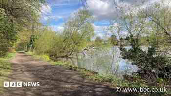 Tree removal objectors work on reservoir safety plan