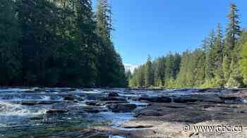1 person missing after being swept away at Stamp River Park near Port Alberni