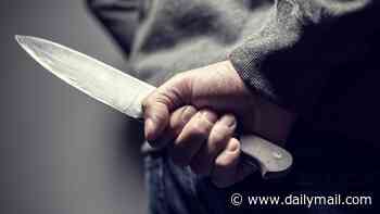 'Soft-touch' justice slammed as number of teens caught carrying blades rockets by 60 per cent