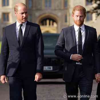 Where Prince Harry Stands With King Charles & Prince William Amid Feud