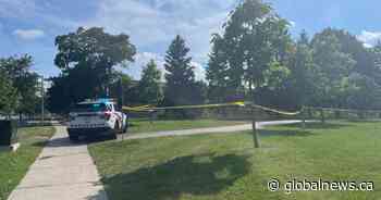 2 dogs killed in Toronto-area shooting, police investigating