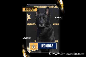 Sheriff's Office says K-9's death casued by air conditioner failure in patrol car