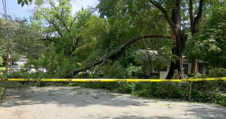 As summer storms hit metro Atlanta, residents brace themselves for damage from fallen trees