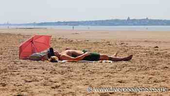 UK heatwave officially declared as Met Office warns temperatures to reach 35C