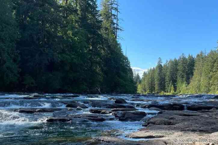 Woman missing, presumed drowned following incident at Stamp Falls