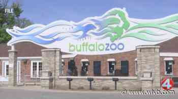 Buffalo Zoo targeted by swatting call