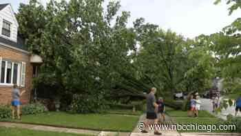 Storms down trees, leave thousands without power amid holiday celebrations in Chicago area