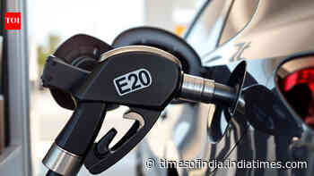 E20 fuel may damage rubber parts in E10 cars, said unpublished report