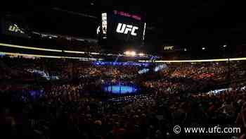 Updates To UFC 329: McGregor vs Holloway 2