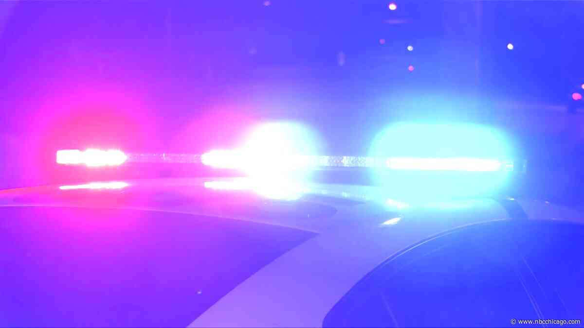 Woman killed after tree falls on camper in Kendall County identified