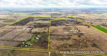 Unique four property offering on the edge of popular city for sale | Video