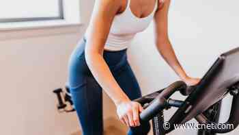 The 5 Best Exercise Bikes if You Like Cross-Training or Cycling for Fun