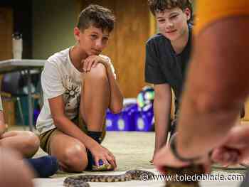 Photo gallery: Hands-on learning scaled up at summer camp