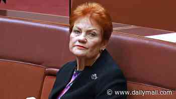 Fresh polling blow for Pauline Hanson as One Nation support slips again after her controversial speech