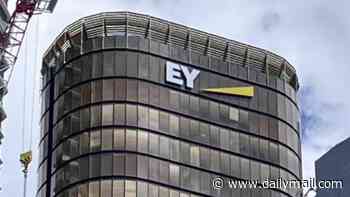 'You will fail': Sacked IT worker rejected EY and NBN's $400,000 settlement and demanded $8million instead... then came the judge's brutal verdict