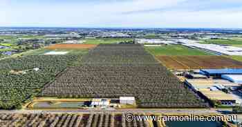 Investors tipped to pounce on five farming blocks just north of Adelaide