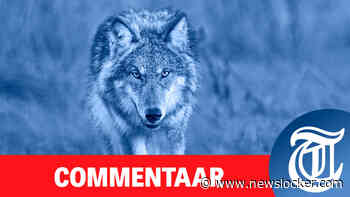Eindelijk daadkracht in het wolvendossier