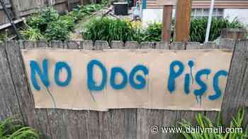 Minnesota AG names and shames couple who he says have lined their garden with RAT POISON to stop dogs urinating there