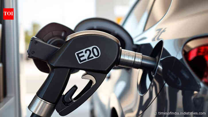 ARAI report found E20 fuel may damage rubber parts in E10 vehicles, engine durability tests carried out for 400-806 hrs