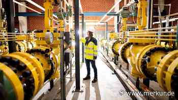 Nach neuer Studie zu Gasnetz: Energieberater mit eindeutiger Empfehlung für Kunden in Deutschland