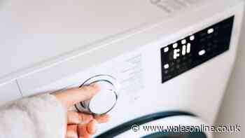 How often to wash bedding in summer to kill dust mites - and what temperature