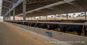 Q1 price report card: Wagyu's market recovery is now in full swing