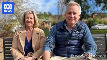 Rockliff having Archer stand in as premier hints at Tasmania's political future