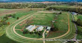 Fenwick Farm a serious Thoroughbred operation with SEQ location | Video